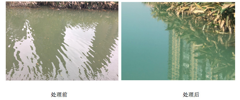 全自動一體化加藥設備處理效果圖